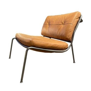 Living Divani - Poltrona Frog pelle cat.B