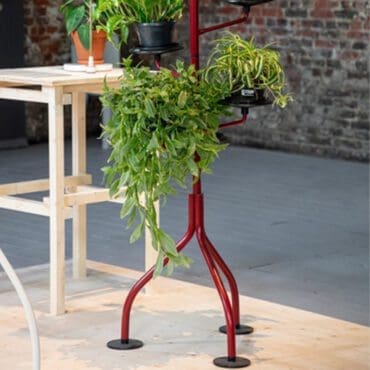 Zanotta-albero-longho-palermo