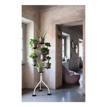 Zanotta-albero-longho-palermo