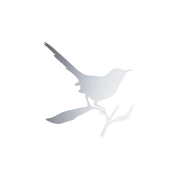 Driade - Specchio Taylor Bird