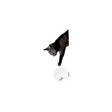 Karman Lampada da parete Maoo ceramica nero e vetro acidato longho design palermo