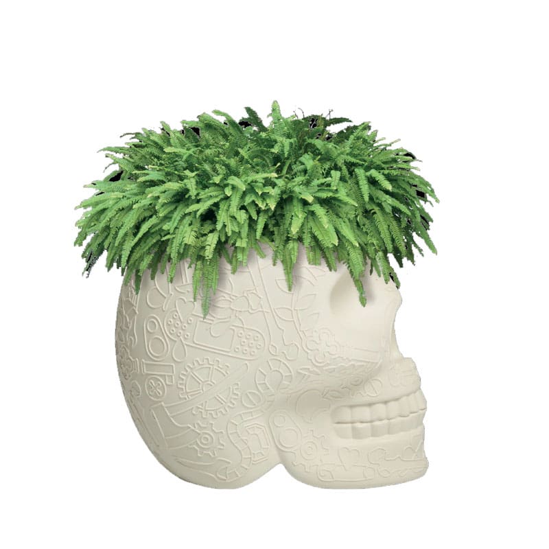 Qeeboo Fioriera Messico e refrigeratore per champagne Ivory 1 Longho Design Palermo